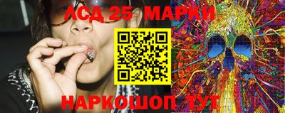 ПСИЛОЦИБИНОВЫЕ ГРИБЫ Гусев
