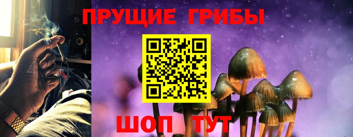 Псилоцибиновые грибы прущие грибы Шебекино