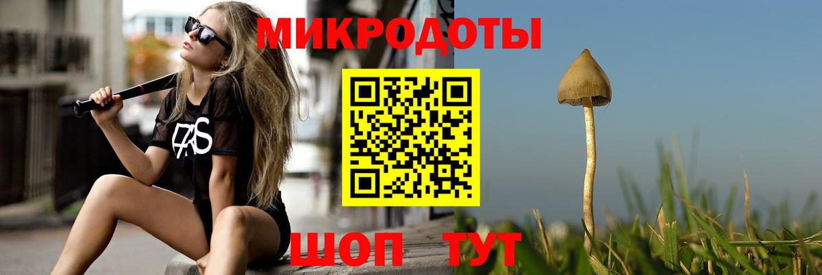 Шебекино  Псилоцибиновые грибы мицелий  Вход с VPN 